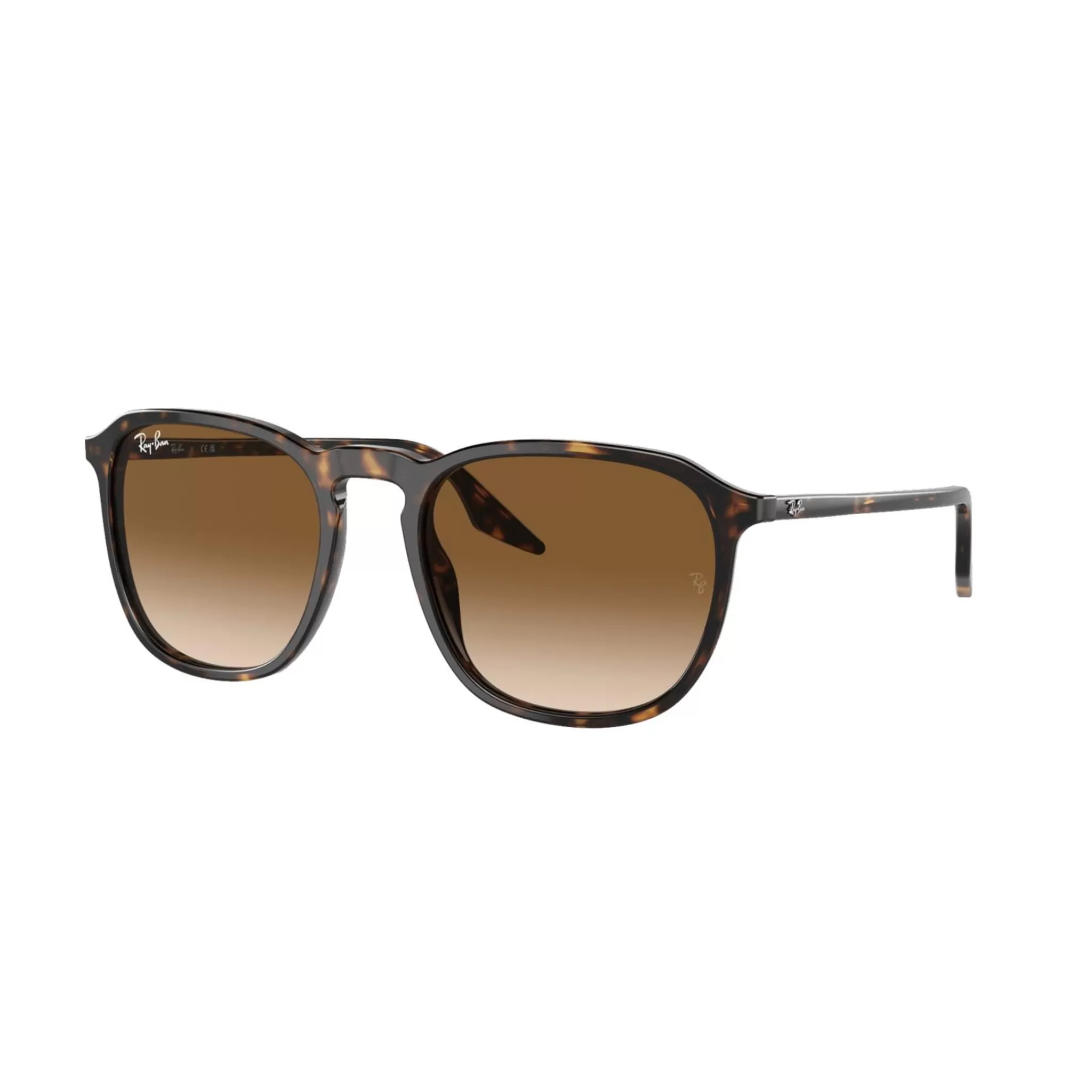 Ray-Ban Aurinkolasit<Acetate Sunglass Havanna, Aurinkolasit, Unisex